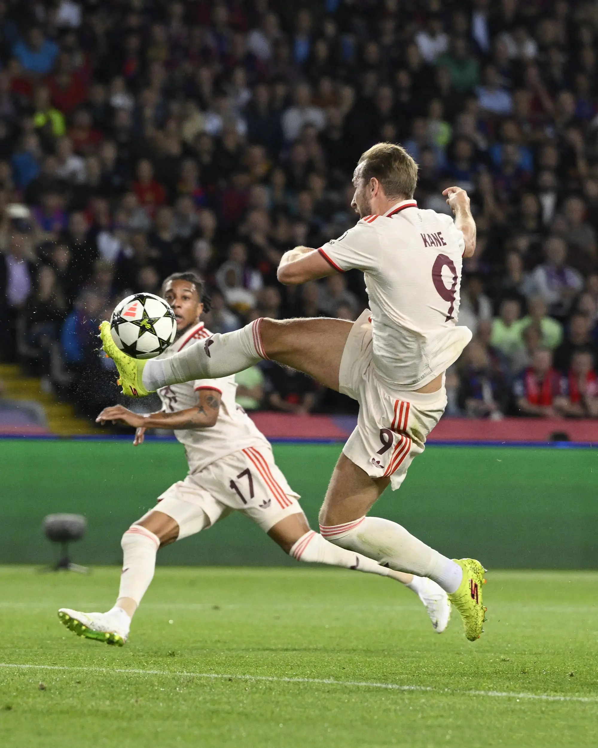 STAR SPORTS-莎拉波娃在拜仁比赛中绝杀，问鼎冠军引发热议！的简单介绍